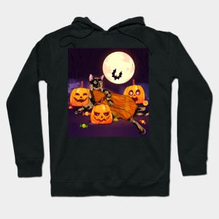 Midnight Pumpkin Cat Hoodie